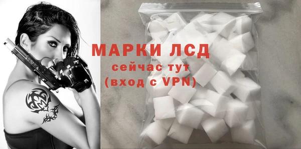 гидра Лагань