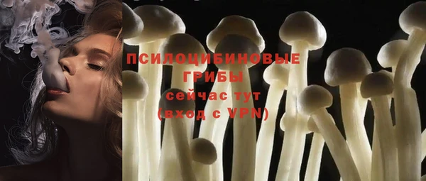 mdpv Лабытнанги