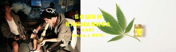 стафф Ладушкин
