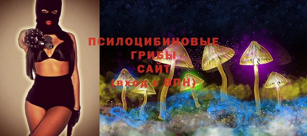 стафф Ладушкин