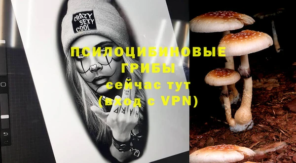 mdpv Лабытнанги