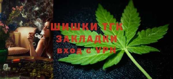 стафф Ладушкин