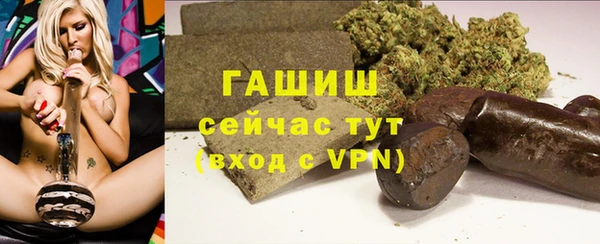 стафф Ладушкин