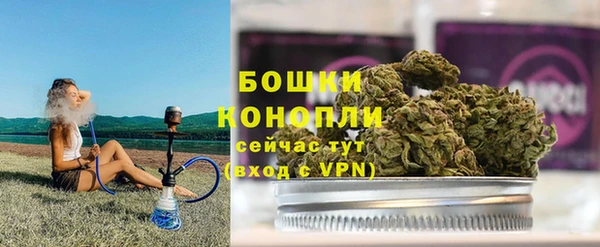 стафф Ладушкин