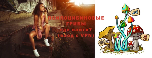 стафф Ладушкин