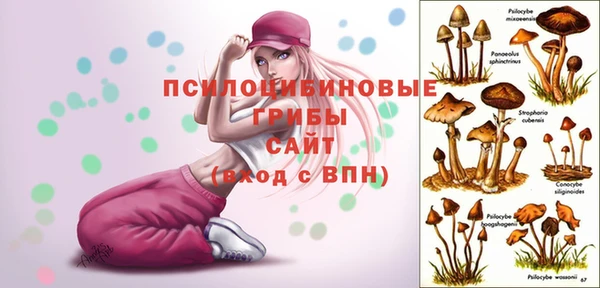 кристаллы Надым