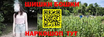 дмт Камышлов