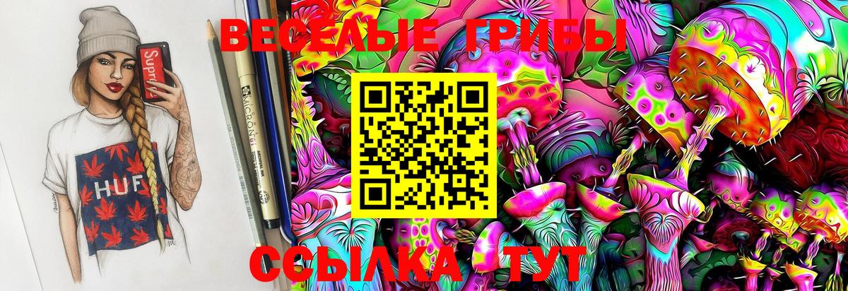 АМФ кристаллы  Конопля  Меф МЯУ МЯУ кристаллы  A-PVP СОЛЬ   НБОМе  Топки  COCAIN  Метадон  Гашиш  МДМА  Меф кристаллы 