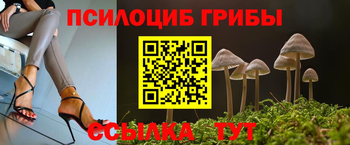 Псилоцибиновые грибы ЛСД  Топки  Галлюциногенные грибы Psilocybine cubensis 
