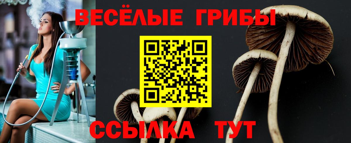 Галлюциногенные грибы GOLDEN TEACHER Топки